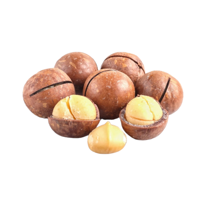 Enjoy the goodness of premium 500g macadamia nuts, a healthy snack choice rich in nutrients.